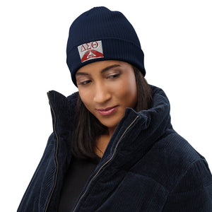 DELTA SIGMA THETA ORGANIC RIBBED BEANIE