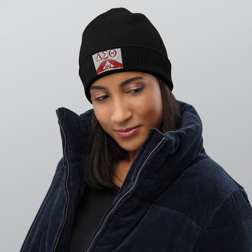 Delta Sigma Theta Organic ribbed beanie